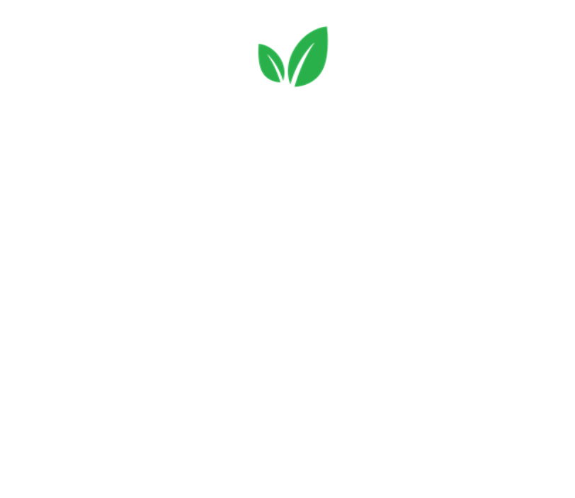 PT&I Chile